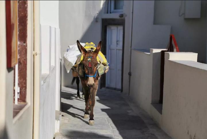 Dar Beldi Apartment El Jadida Bagian luar foto